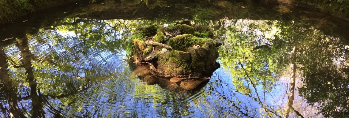 SINTRA1.jpg