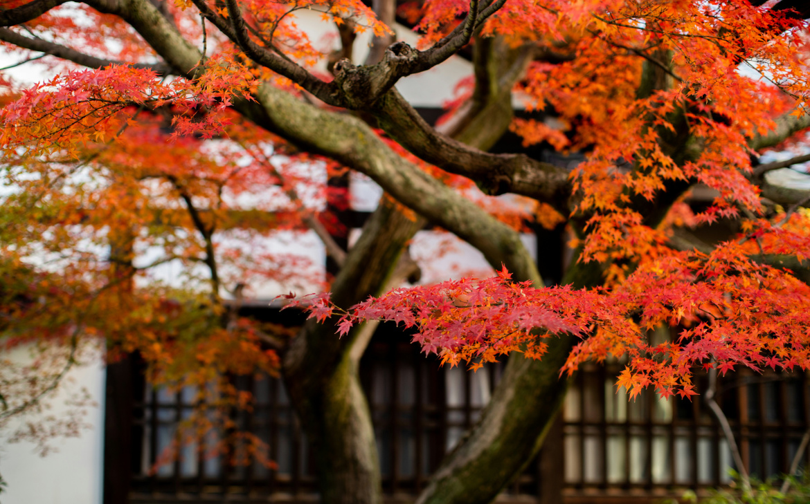 bret-lama-RjQfiZQDS6Y-unsplash-scaled.jpg
