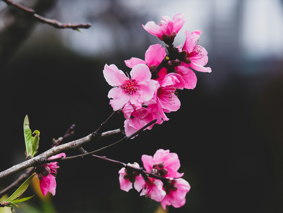 susann-schuster-XDncTTnGPfE-unsplash-scaled.jpg