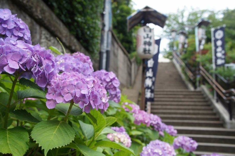 Hakusan-Shrine-in-Tokyo-e1558597906169.jpg