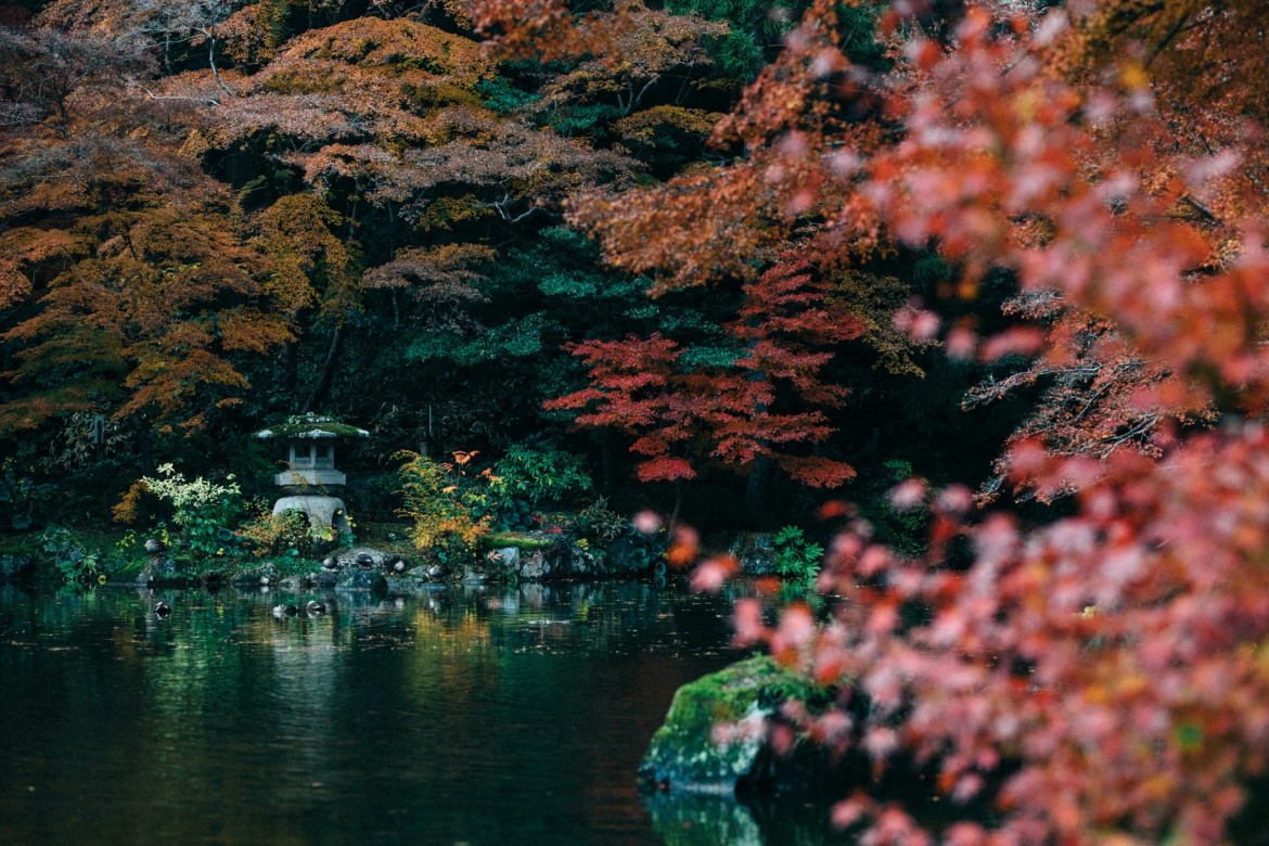 tsuyoshi-kozu-M2PfcUFcy-k-unsplash1-scaled.jpg